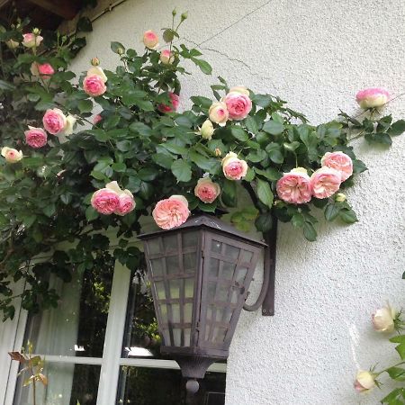 Le Petit Val Rose Villa Villennes-sur-Seine Exterior photo