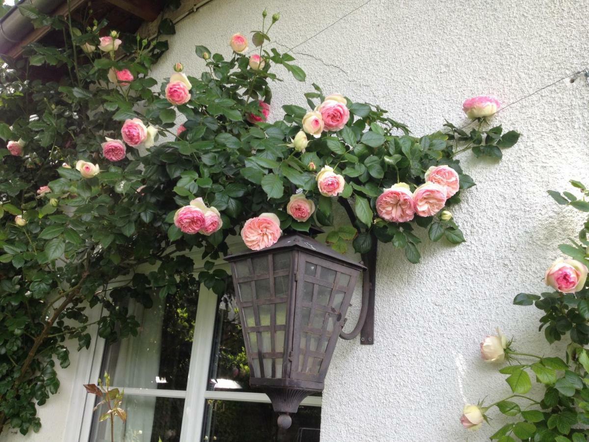 Le Petit Val Rose Villa Villennes-sur-Seine Exterior photo